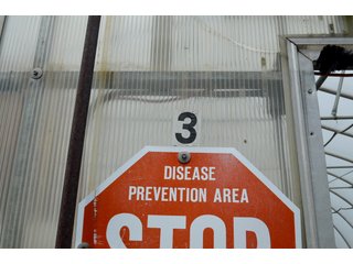 Property photo 15 - GREENHOUSE FARM AUCTION IN HENRY COUNTY, OHIO